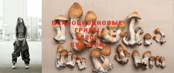 меф Чердынь